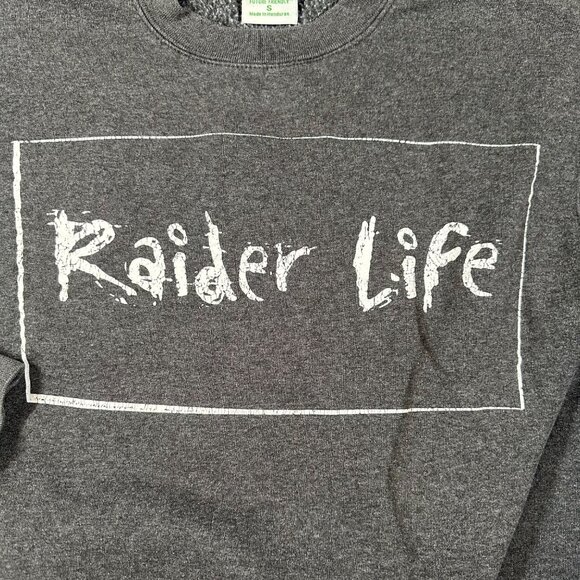 Champion Unisex Small Gray Eco Fleece Raider Life Pullover Sweatshirt - Picture 2 of 7